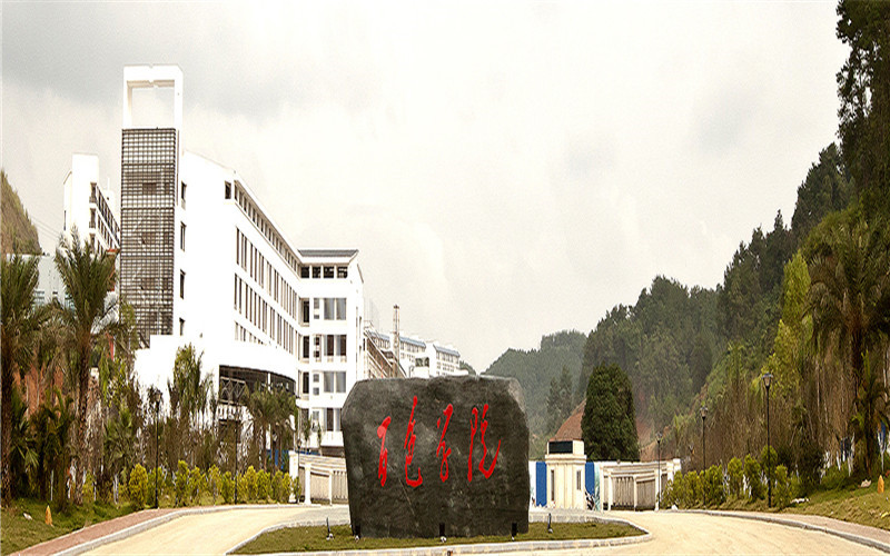 百色学院 gallery image 1