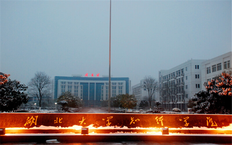 湖北大学知行学院 gallery image 1