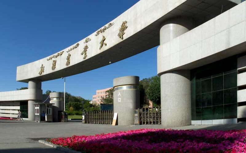 新疆农业大学 gallery image 1