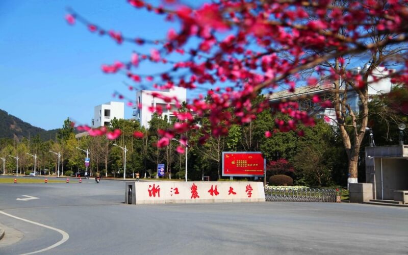 浙江农林大学 gallery image 1