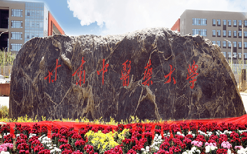 甘肃中医药大学 gallery image 1