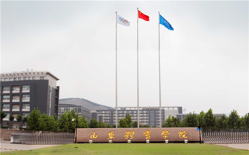 山东体育学院 gallery image 1