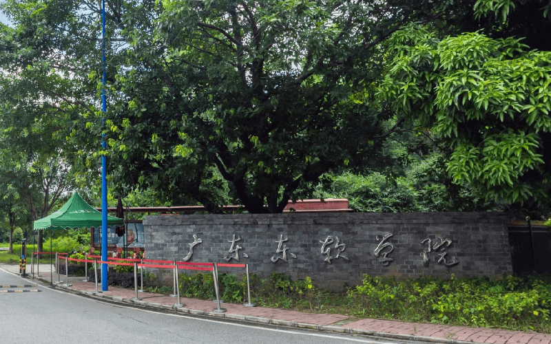 广东东软学院 gallery image 1