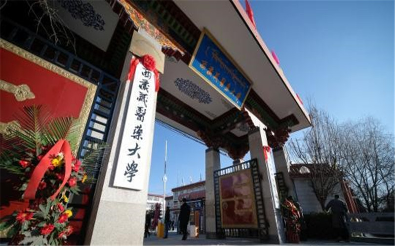 西藏藏医药大学 gallery image 1