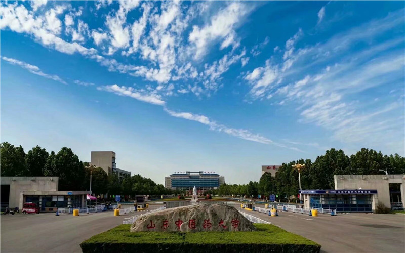 山东中医药大学 gallery image 1
