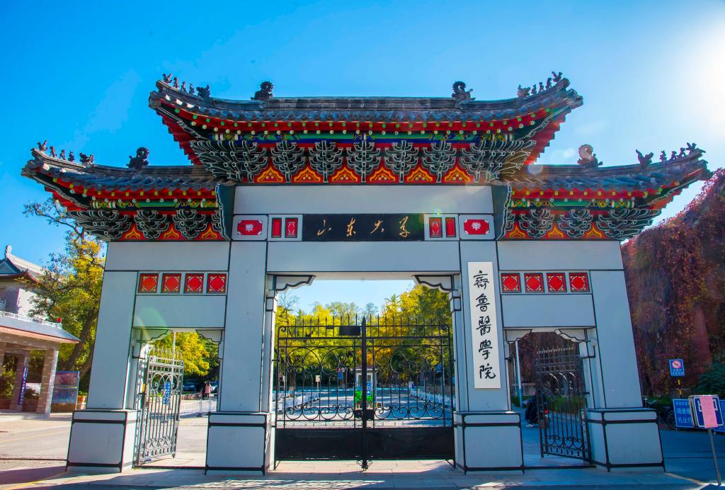 山东大学齐鲁医学院 gallery image 1