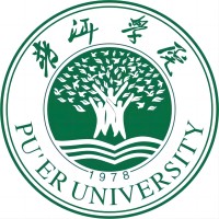 Puer University